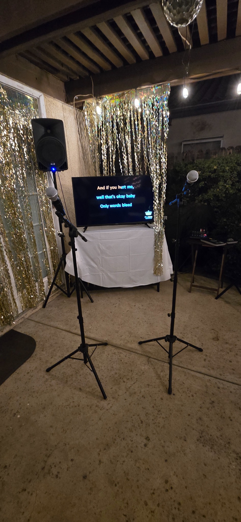 Palmwood Rentals karaoke setup