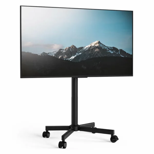 50" TV Rental